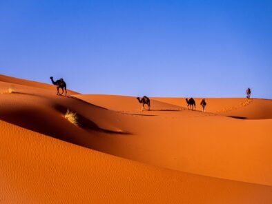 Morocco Dream Safari
