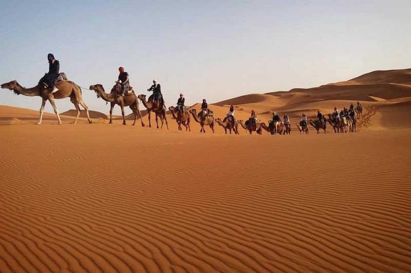 Explore Merzouga by Camel Trekking