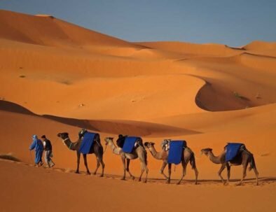 Overnight Camel Trekking In Merzouga