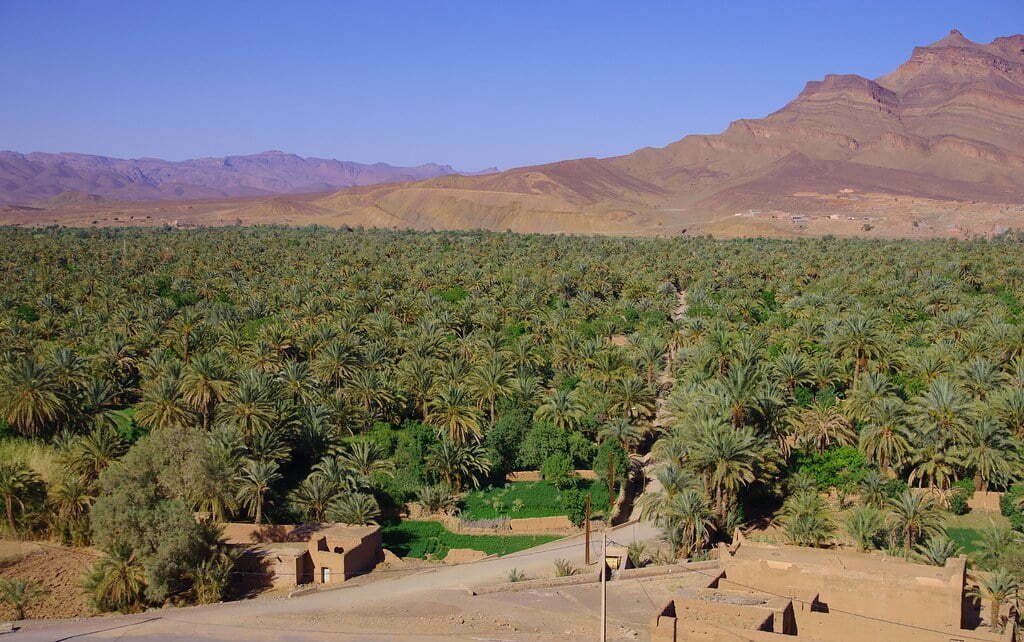 7 days KTM tour from Ouarzazate to Zagora.