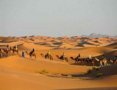 Paseos camello en Merzouga