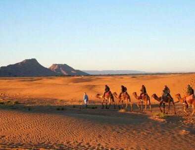 Paseos camello en Merzouga