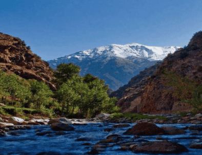 Day Trip to Ourika Valley from Marrakech