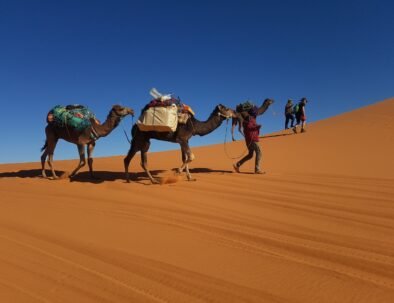 Merzouga o Zagora