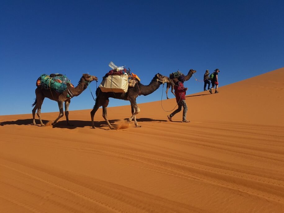 Zagora or Merzouga