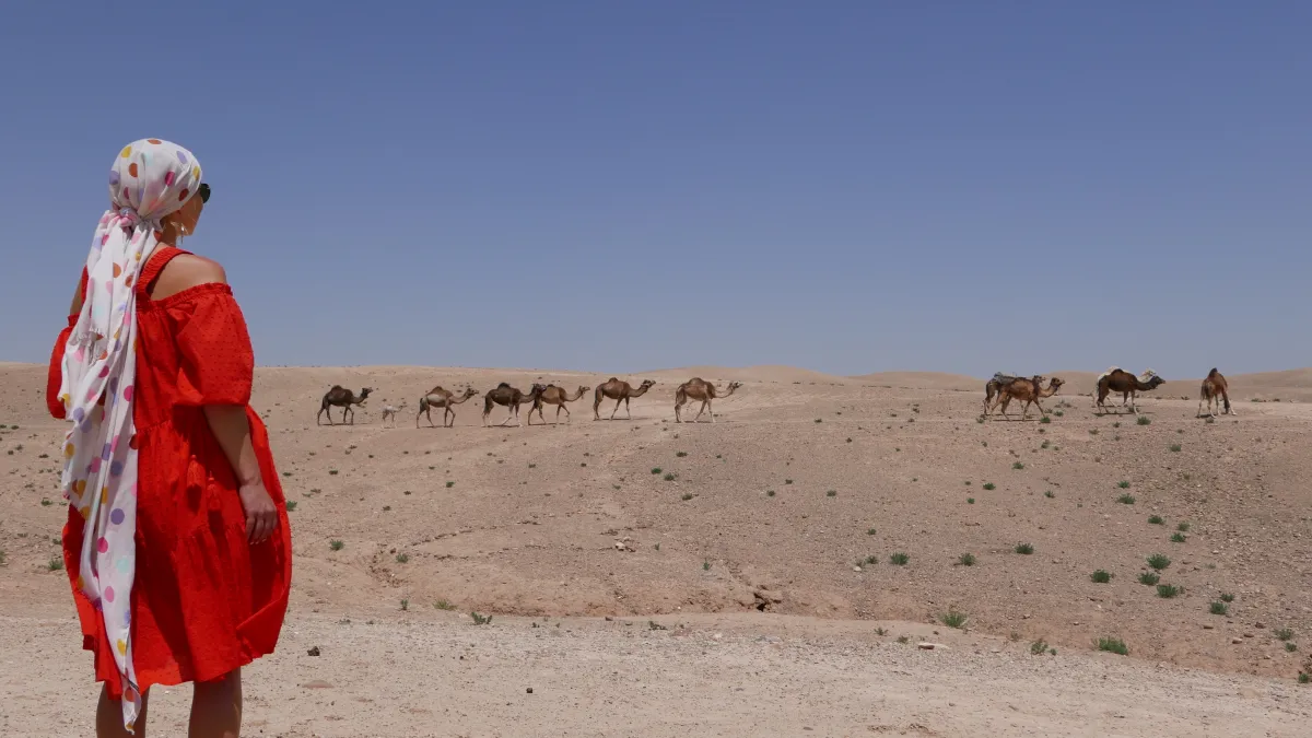 Qué llevar en Marruecos en noviembre