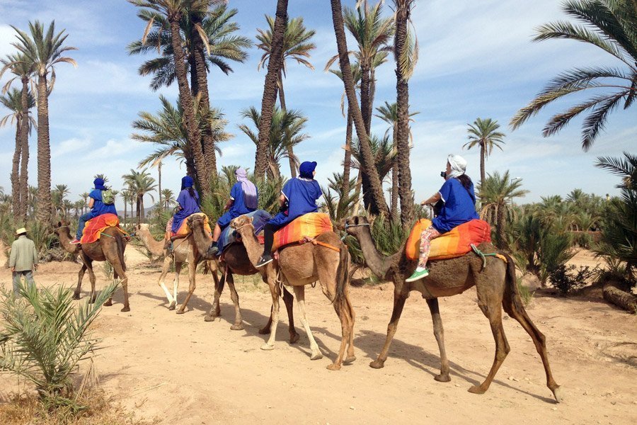 Precios de los paseos en camello por Merzouga