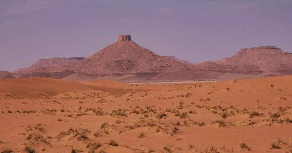 Horseback Riding In Merzouga