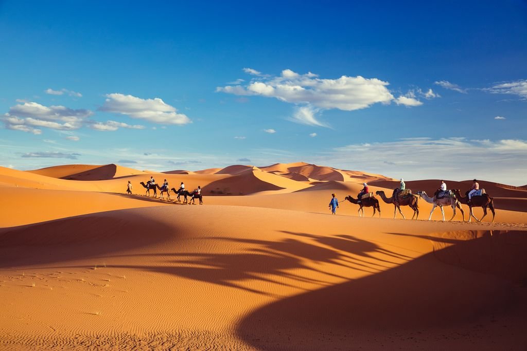 Horseback Riding In Merzouga