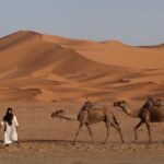 Moroccan Desert: 8 Essential Tips for Your First Sahara Visit