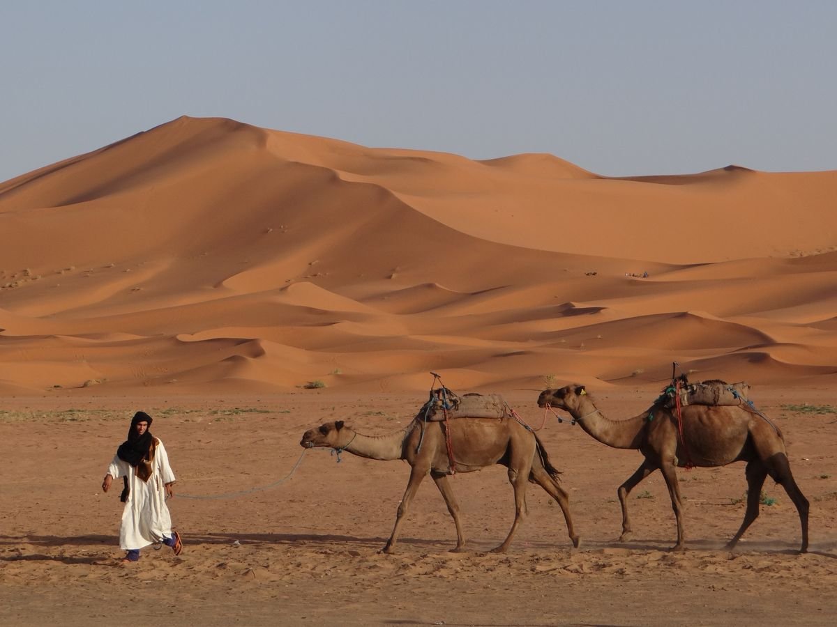 Moroccan Desert: 8 Essential Tips for Your First Sahara Visit