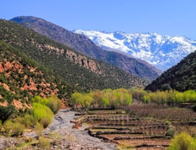 Ourika valley