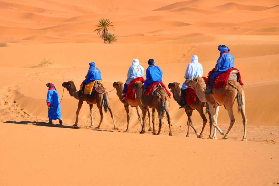 Zagora ou Merzouga: Quel désert marocain visiter ?