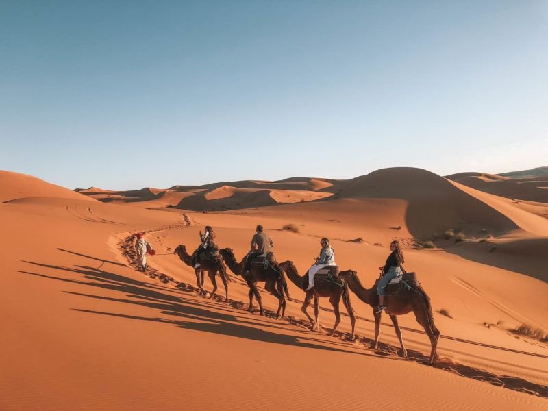 Randonnées à dos de chameau à Merzouga