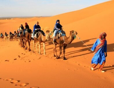 Randonnées à dos de chameau à Merzouga