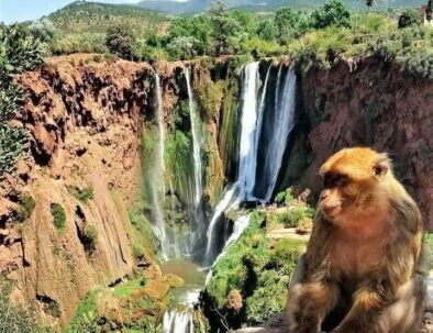 tour privado de 6 días desde Marrakech a Fez: