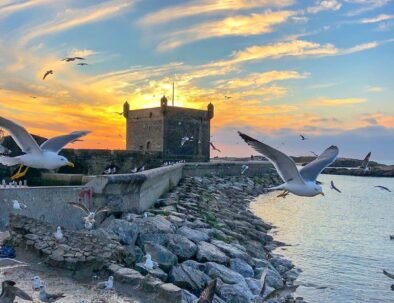 essaouira excursion