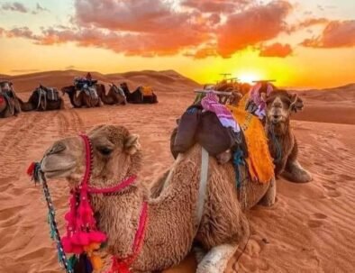 excursions au départ d’Agadir