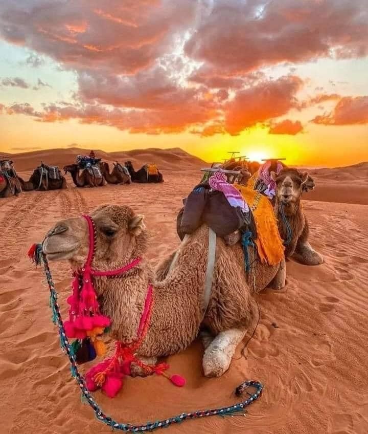 excursions au départ d’Agadir