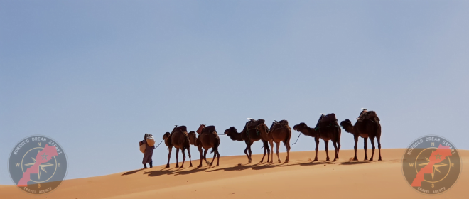 Merzouga camel trekking price