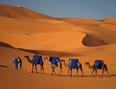 Camel Trekking in Merzouga