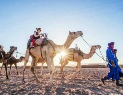 Camel Trekking In Merzouga