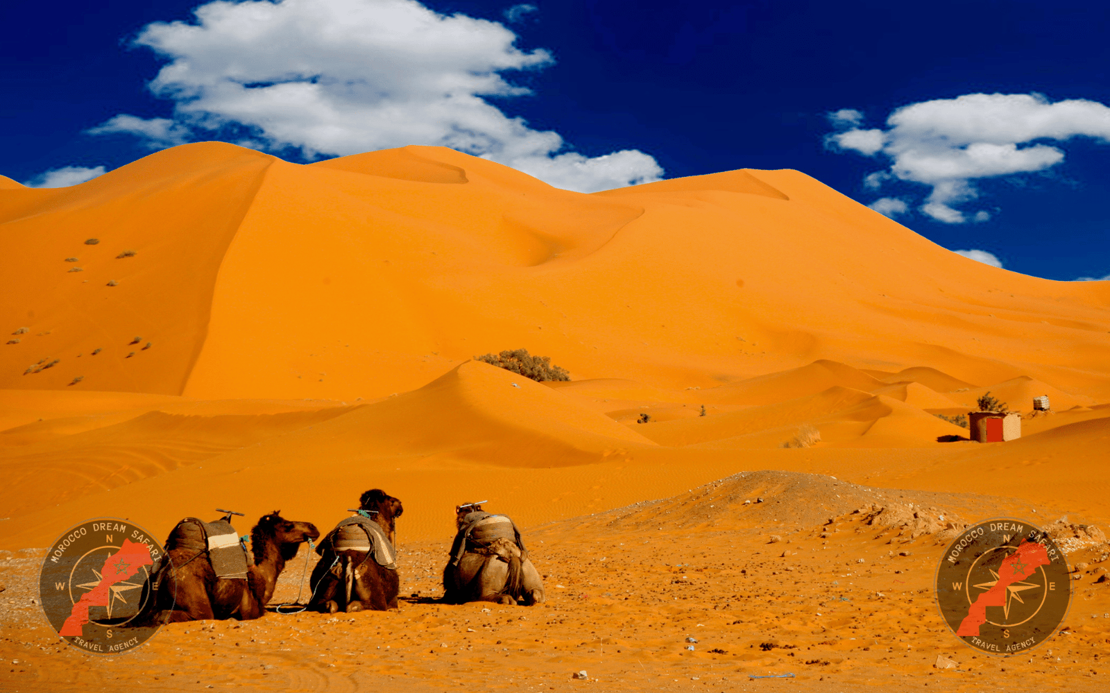 Paseo a caballo en Merzouga