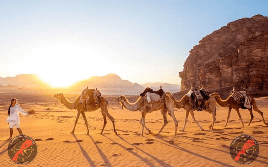 Our Morocco tour package from UK