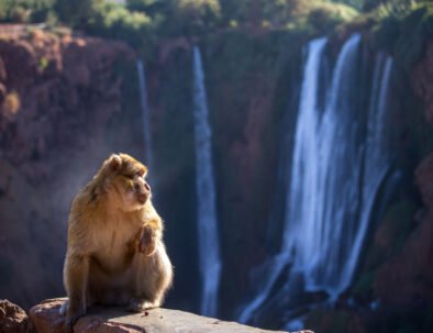 las Ciudades Imperiales de Marruecos