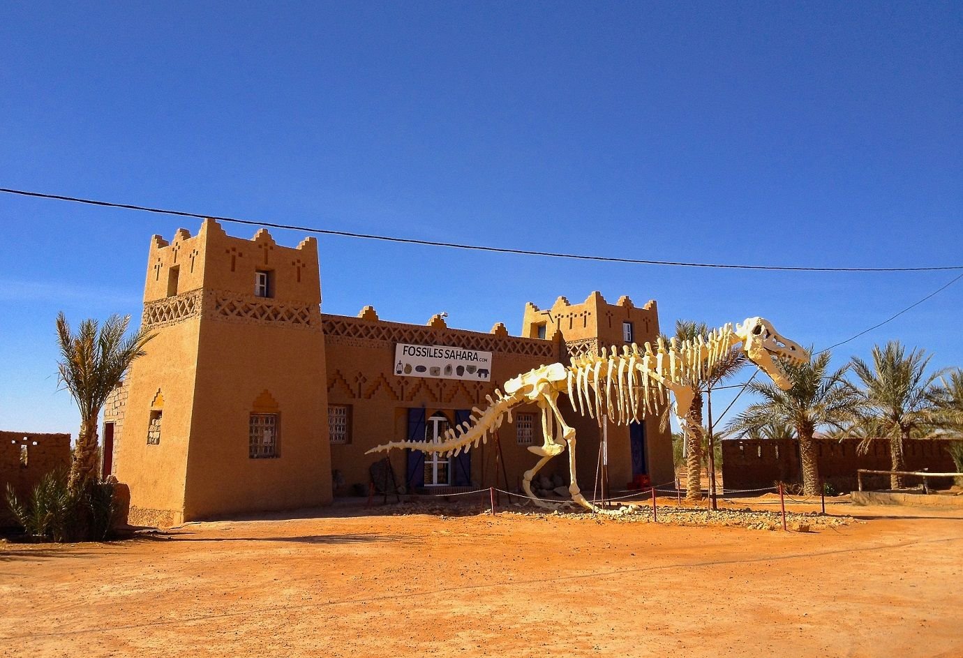 Discover Erfoud: The Capital of Dates