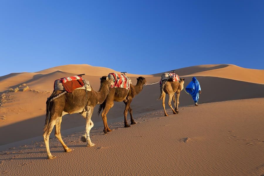 Que faire a merzouga