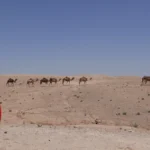 Visiting Morocco as a Woman